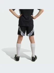 Шорты Adidas модель IS8123 Фото