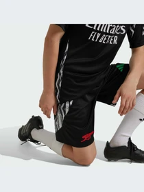 Шорты Adidas модель IS8123 Фото