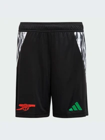 Шорты Adidas модель IS8123 Фото