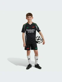 Шорты Adidas модель IS8123 Фото