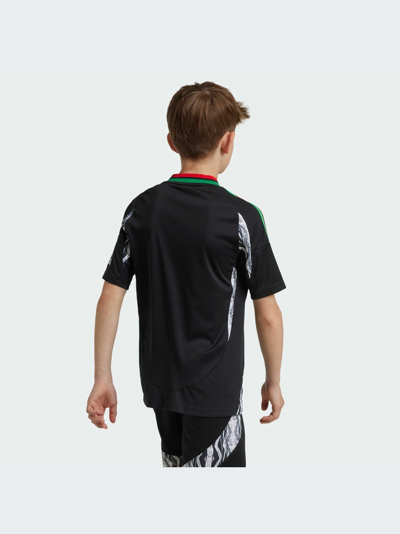 Футболки и поло Adidas модель IS8125 Футболки и поло Adidas модель IS8125 Фото