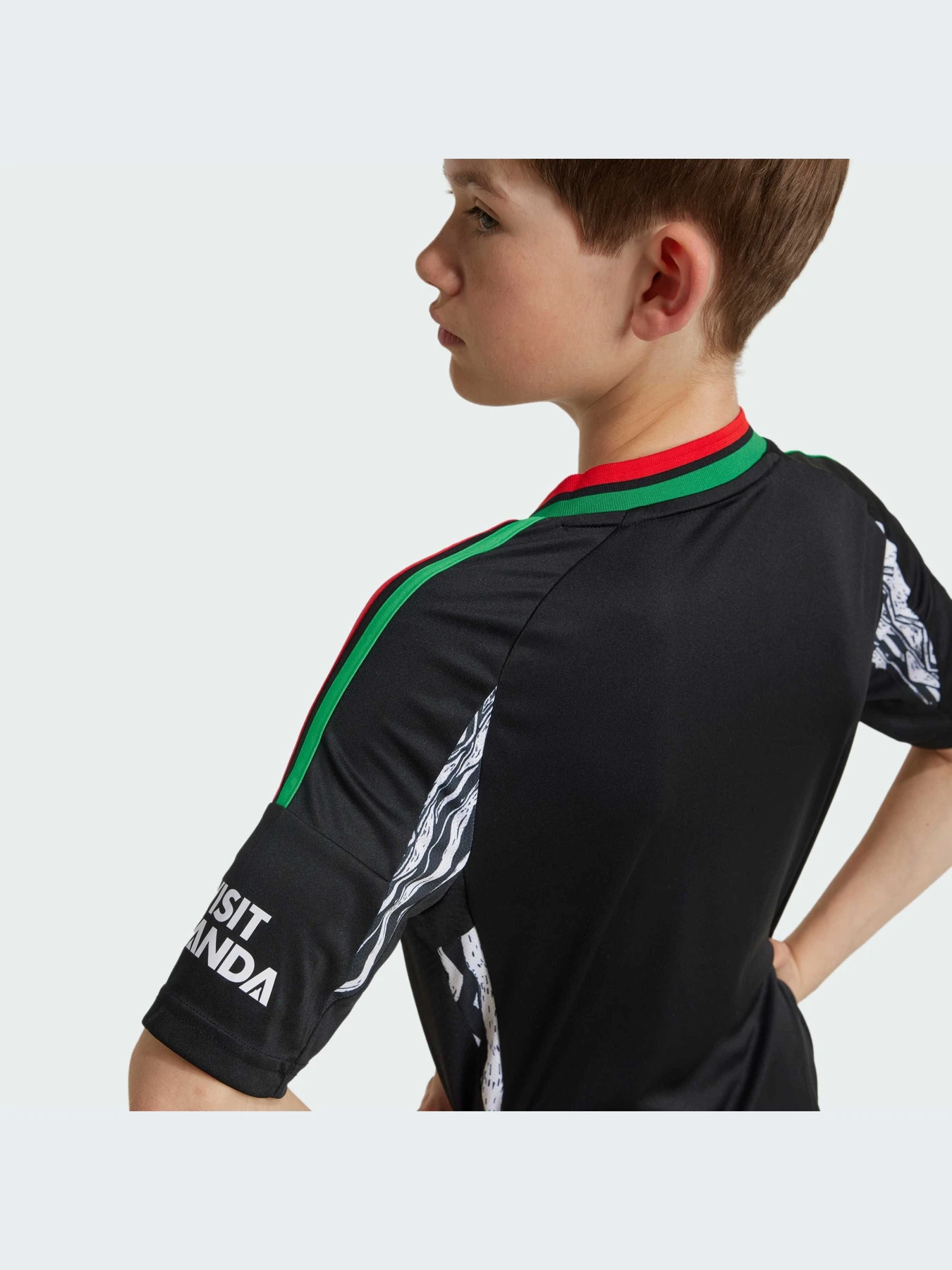 Футболки и поло Adidas модель IS8125 Футболки и поло Adidas модель IS8125 Фото