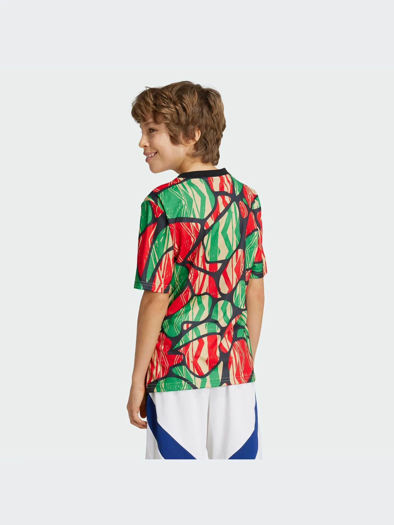 Футболки и поло Adidas модель IS9994 Футболки и поло Adidas модель IS9994 Фото