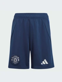 Шорты Adidas модель IT1967 Фото