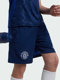 Шорты Adidas модель IT1967 Фото
