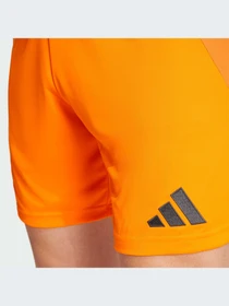 Шорты Adidas модель IU5019 Фото