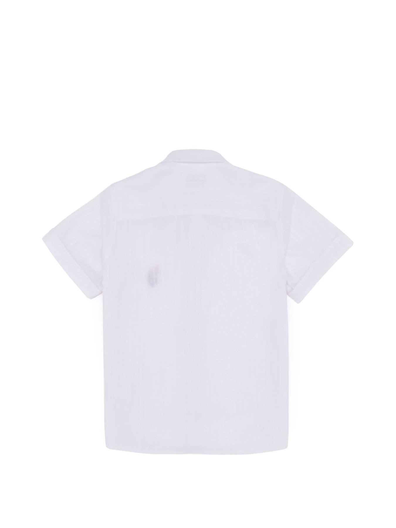 Рубашки US Polo модель G083SZ004.000.1380067.VR013 Фото