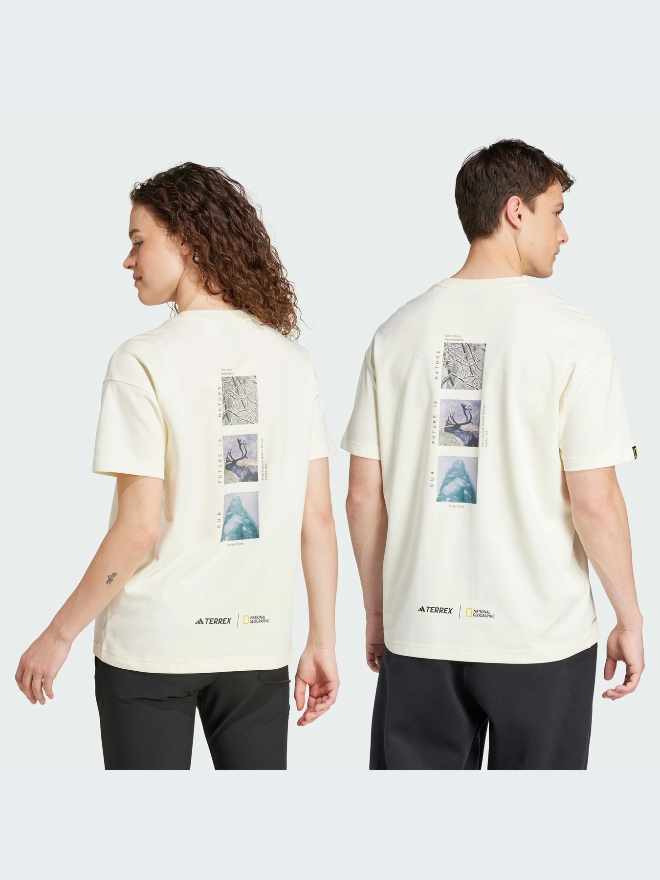Футболки и поло Adidas модель IX5614 Футболки и поло Adidas модель IX5614 Фото