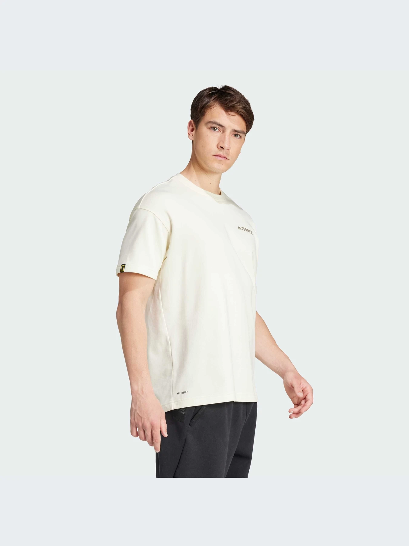 Футболки и поло Adidas модель IX5614 Футболки и поло Adidas модель IX5614 Фото