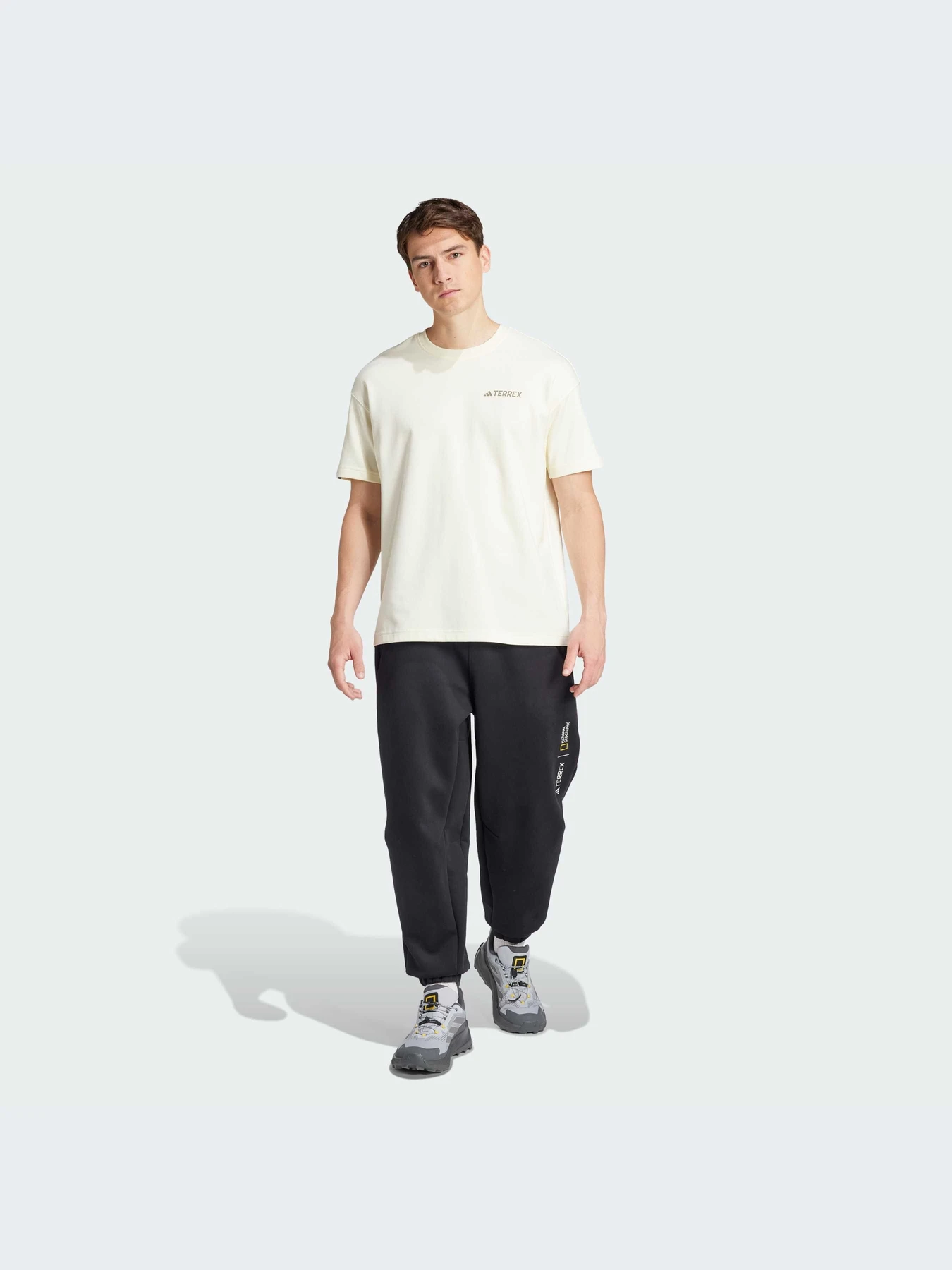 Футболки и поло Adidas модель IX5614 Футболки и поло Adidas модель IX5614 Фото