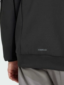 Худи и свитшоты Adidas Clima модель IY1131 Фото