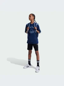 Шорты Adidas Adicolor модель IY7481 Фото
