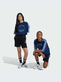 Шорты Adidas Adicolor модель IY7481 Фото