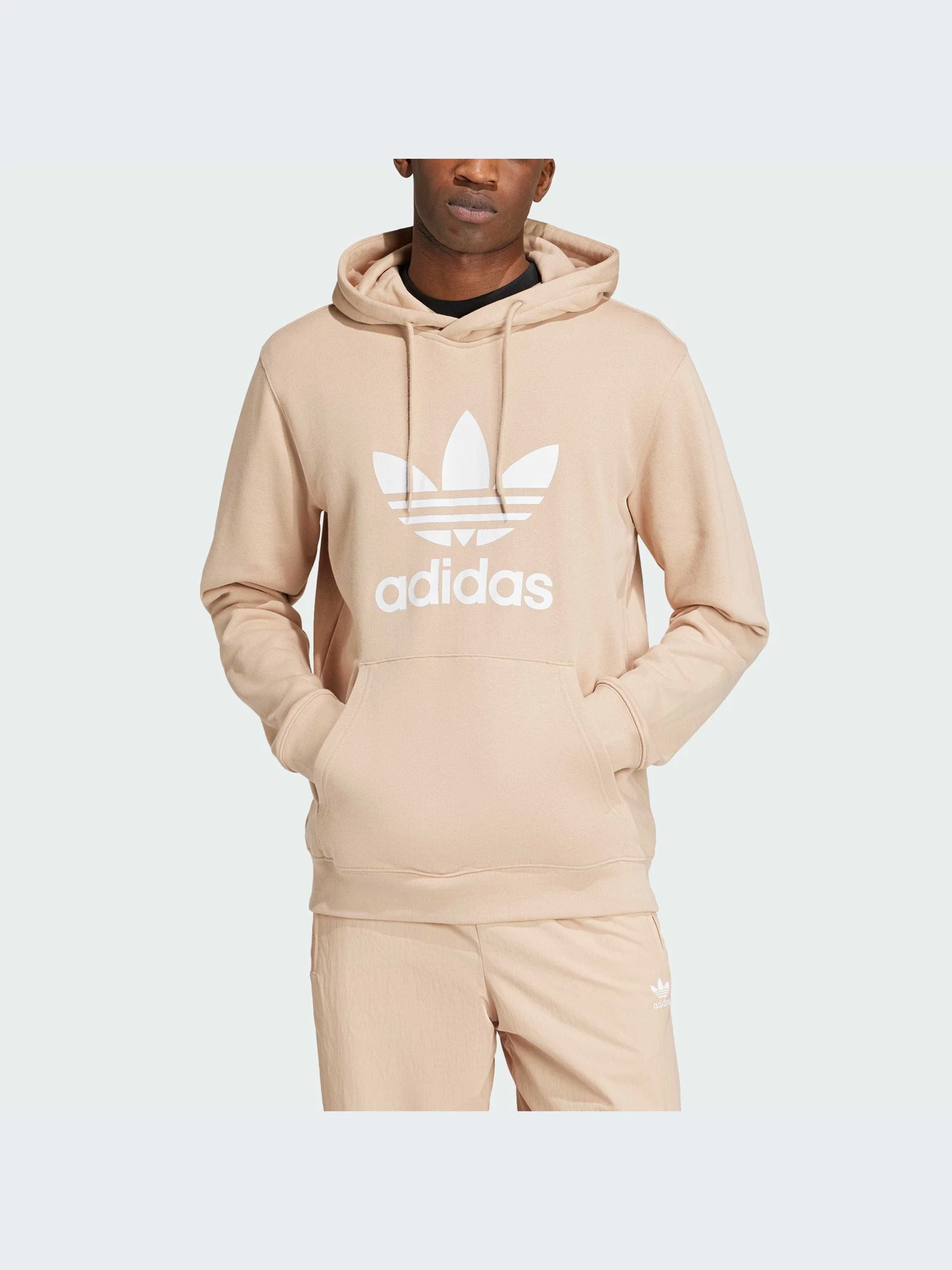 Худи и свитшоты Adidas Adicolor модель IZ2359 Фото
