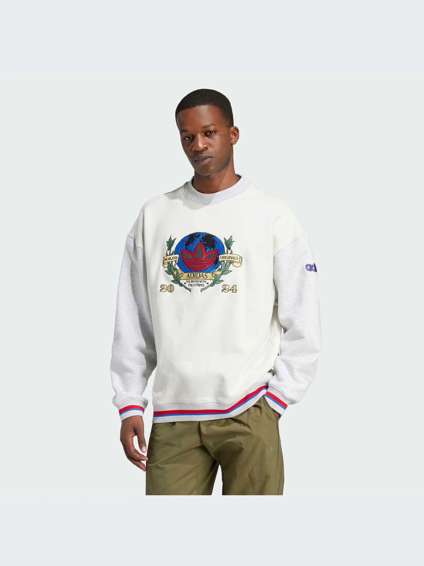 Худи и свитшоты Adidas Graphics модель IX6755 Фото