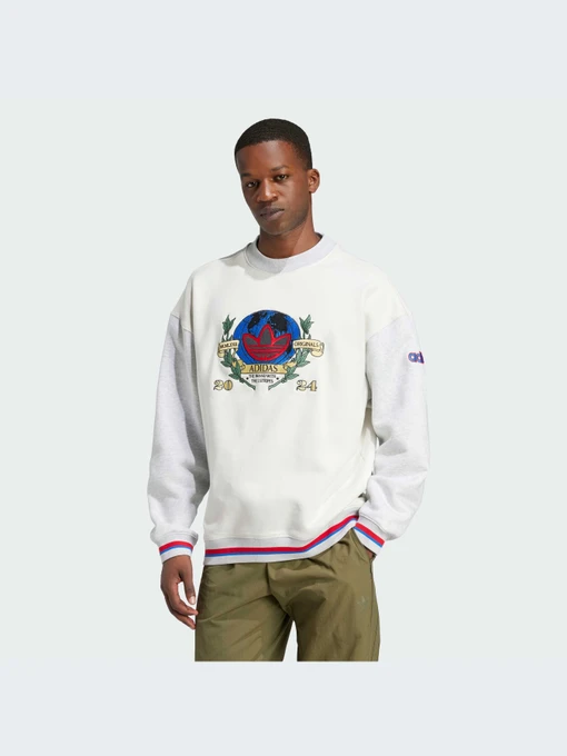 Худи и свитшоты Adidas Graphics модель IX6755 Фото