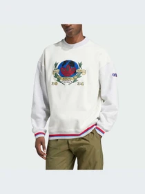 Худи и свитшоты Adidas Graphics модель IX6755 Фото