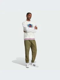 Худи и свитшоты Adidas Graphics модель IX6755 Фото