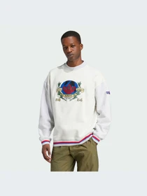 Худи и свитшоты Adidas Graphics модель IX6755 Фото