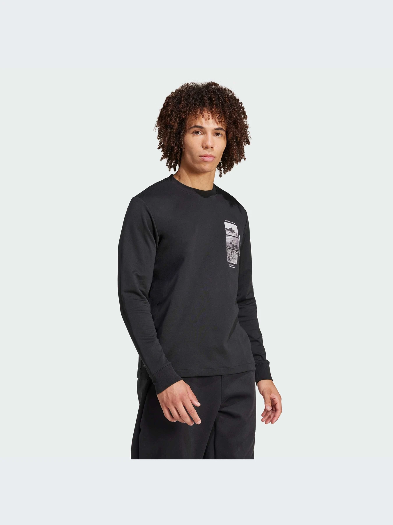 Худи и свитшоты Adidas модель IX5613 Худи и свитшоты Adidas модель IX5613 Фото