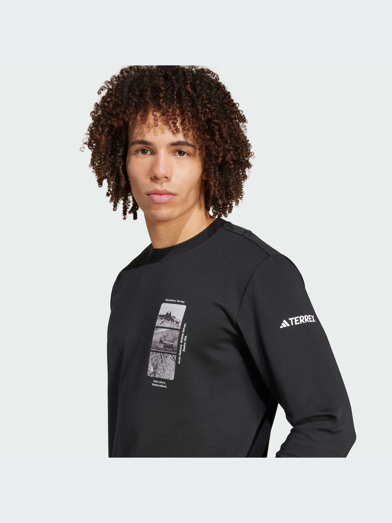 Худи и свитшоты Adidas модель IX5613 Худи и свитшоты Adidas модель IX5613 Фото