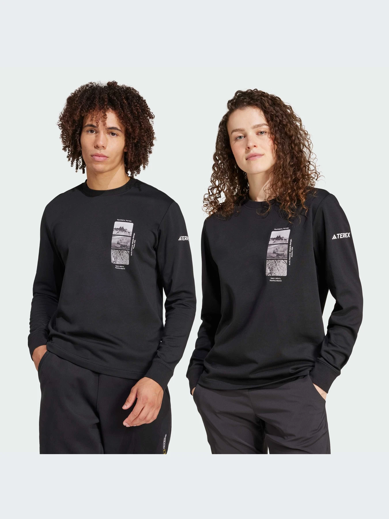 Худи и свитшоты Adidas модель IX5613 Худи и свитшоты Adidas модель IX5613 Фото