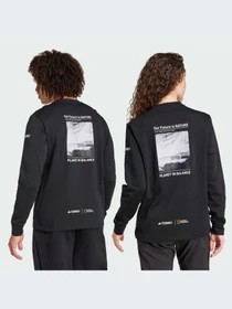 Худи и свитшоты Adidas модель IX5613 Фото