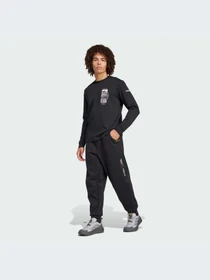 Худи и свитшоты Adidas модель IX5613 Фото