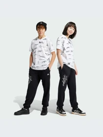 Брюки Adidas модель IV9425 Фото
