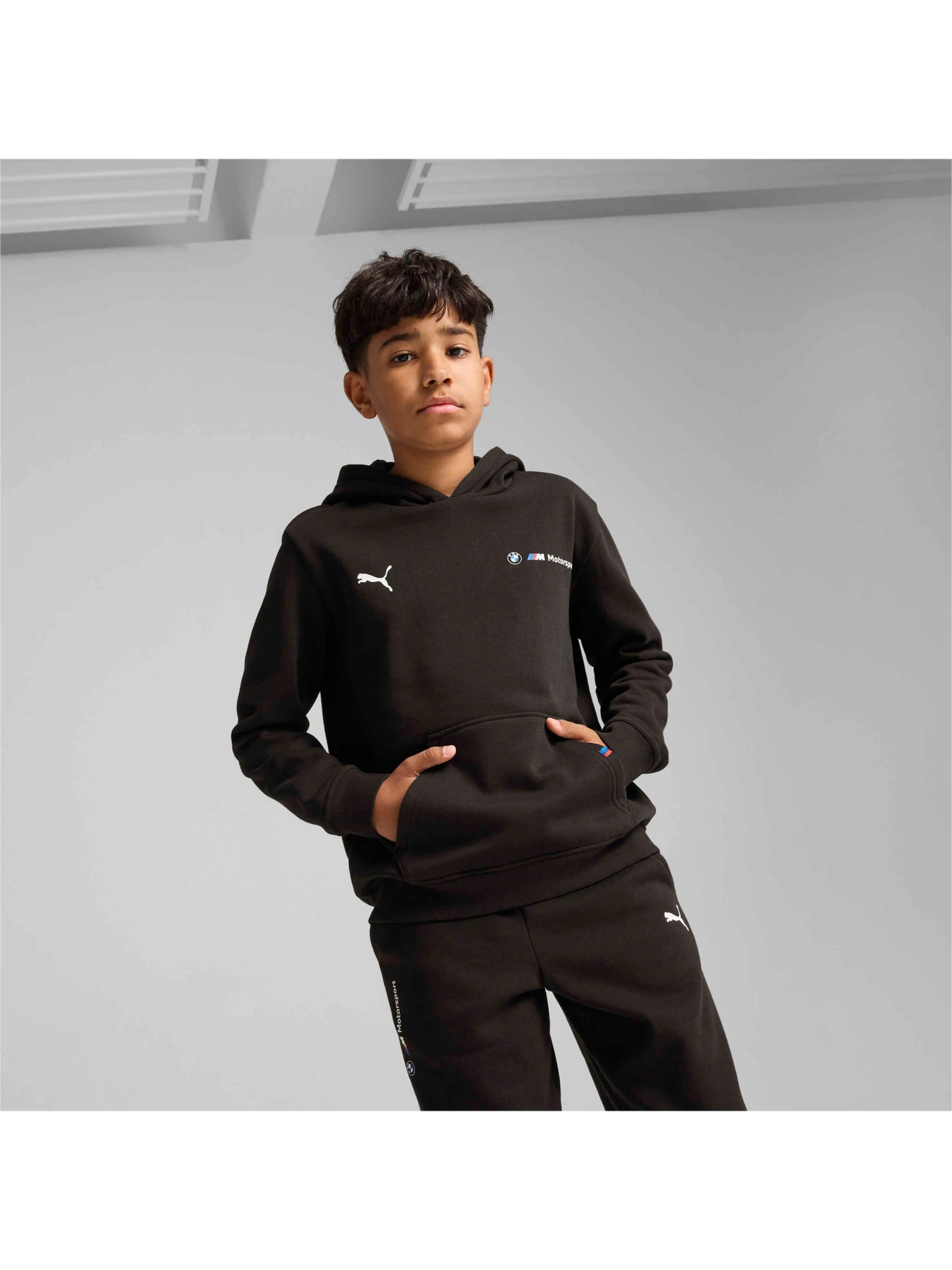 Худи и свитшоты PUMA Bmw Mms Kids Ess Hoodie Fl модель 627545 Худи и свитшоты PUMA Bmw Mms Kids Ess Hoodie Fl модель 627545 Фото