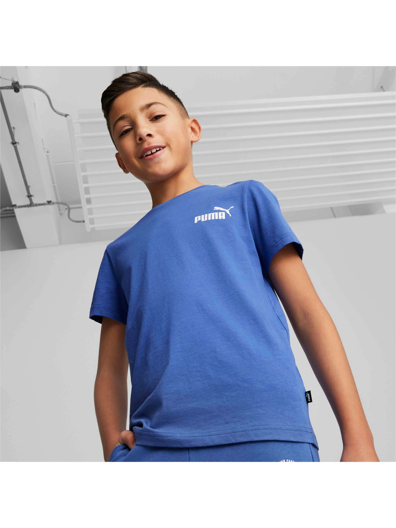 Футболки и поло PUMA Ess Small Logo Tee модель 586961 Футболки и поло PUMA Ess Small Logo Tee модель 586961 Фото