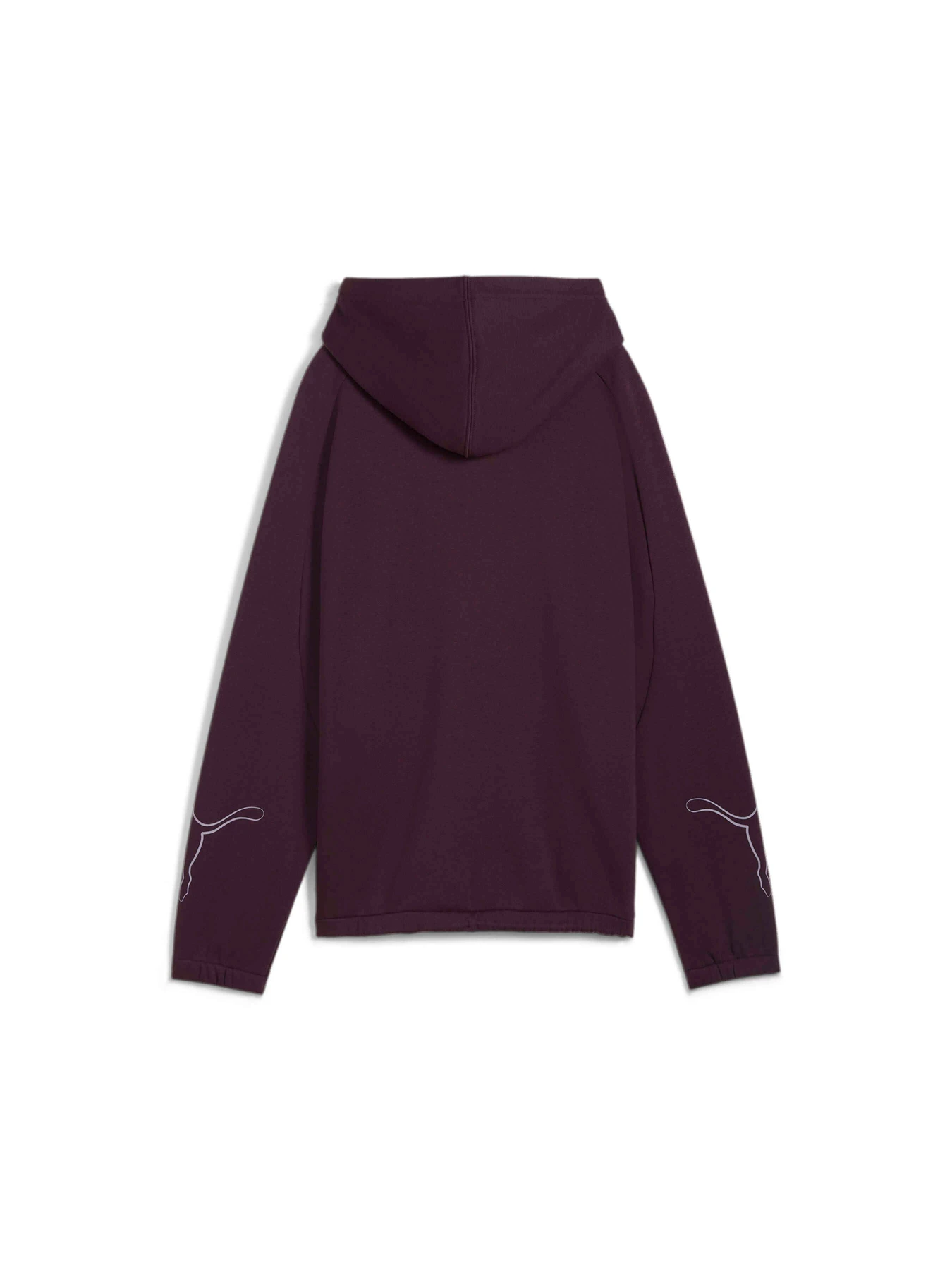 Худи и свитшоты PUMA Motion Hoodie Fl модель 681681 Фото