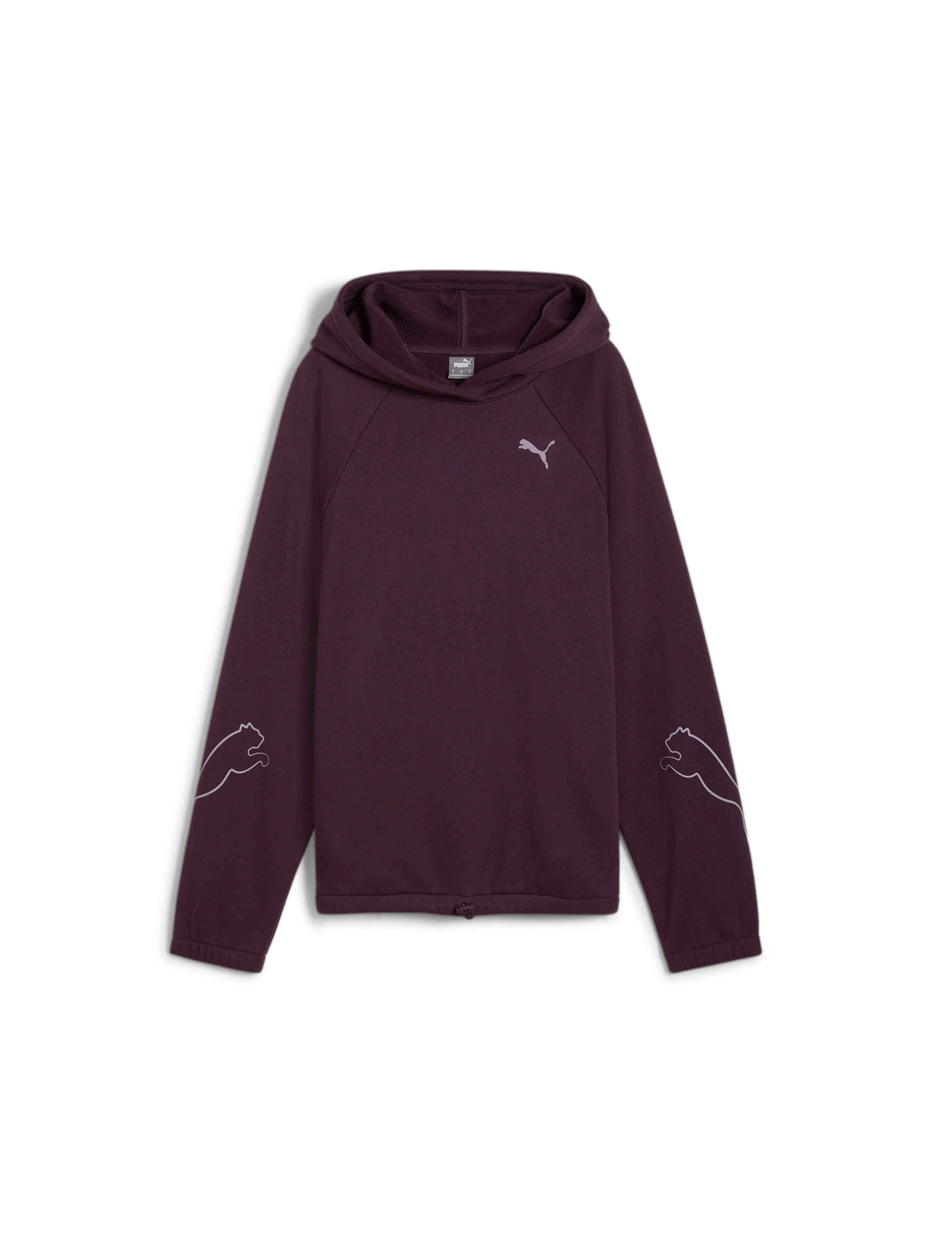 Худи и свитшоты PUMA Motion Hoodie Fl модель 681681 Фото