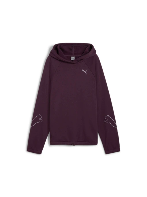 Худи и свитшоты PUMA Motion Hoodie Fl модель 681681 Фото