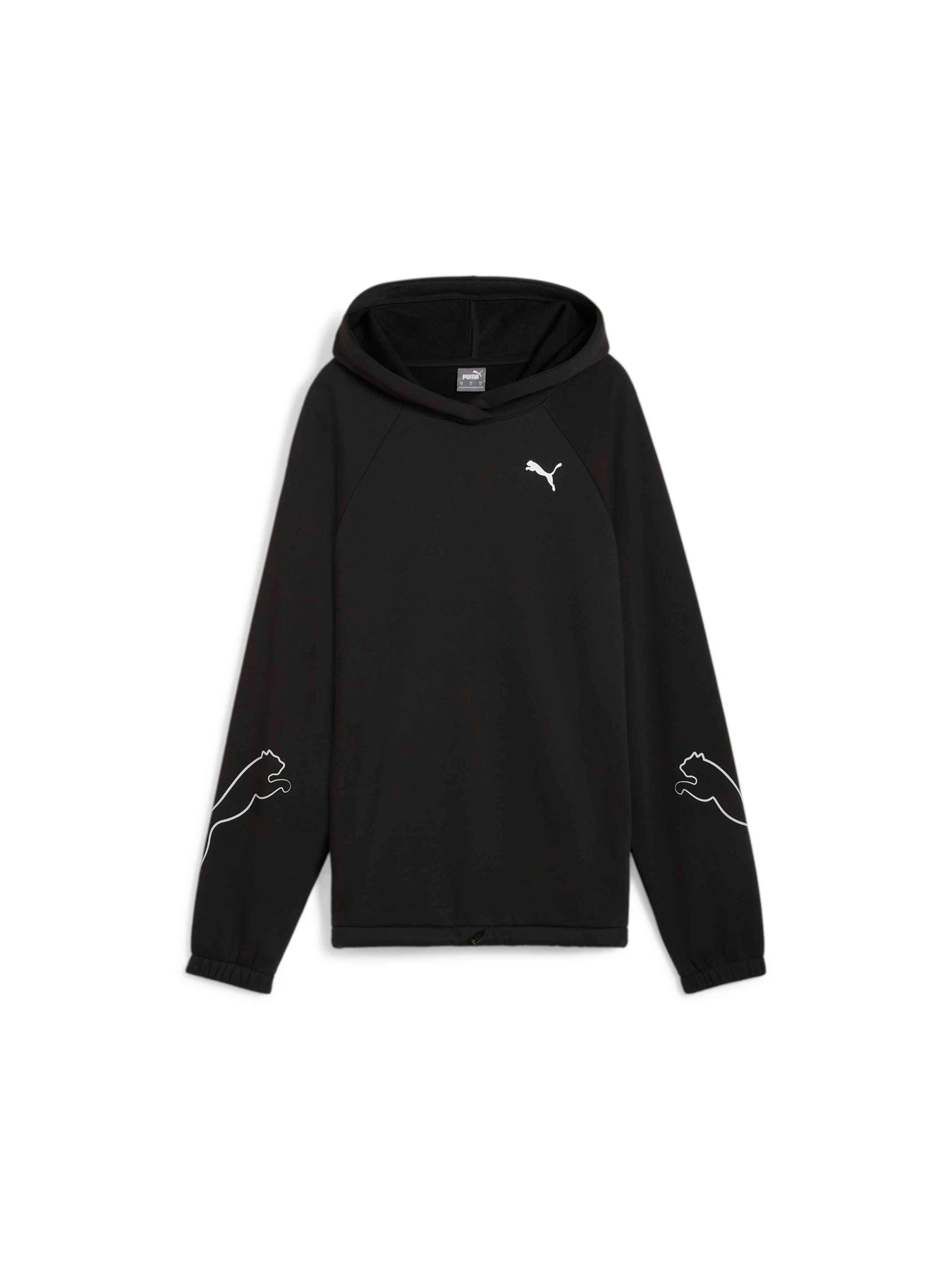 Худи и свитшоты PUMA Motion Hoodie Fl модель 681681 Фото