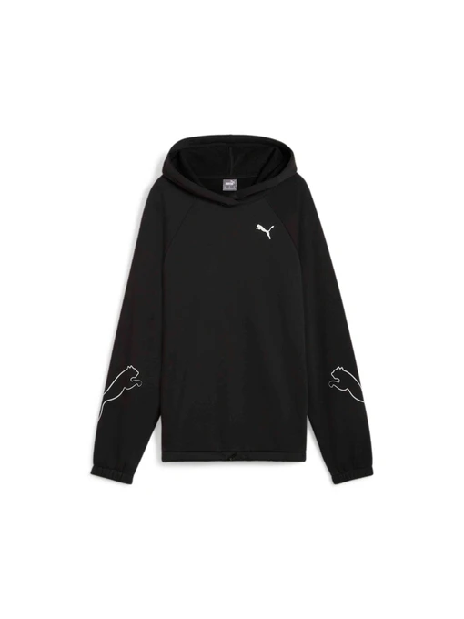 Худи и свитшоты PUMA Motion Hoodie Fl модель 681681 Фото