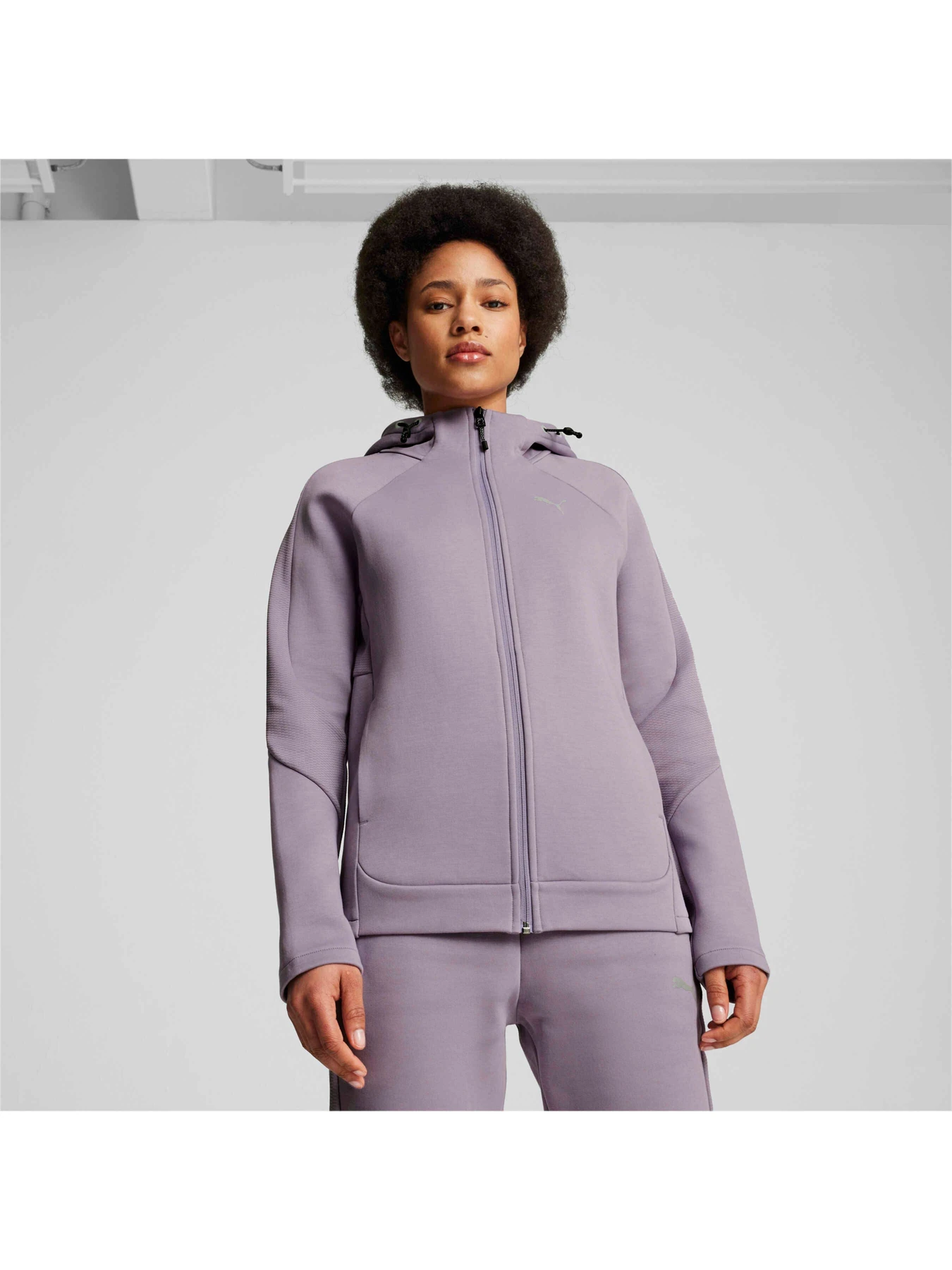 Худи и свитшоты PUMA Evostripe Full-zip Hoodie модель 681670 Фото