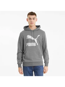 Худі та світшоти PUMA Classics Logo Hoodie Tr модель 530084 Фото