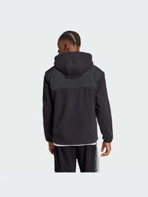 Худи и свитшоты Adidas Adicolor модель IZ4802 Фото