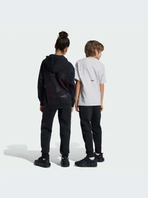 Брюки Adidas ZNE модель IV9632 Фото