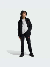 Брюки Adidas ZNE модель IV9632 Фото