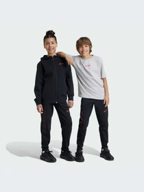 Брюки Adidas ZNE модель IV9632 Фото