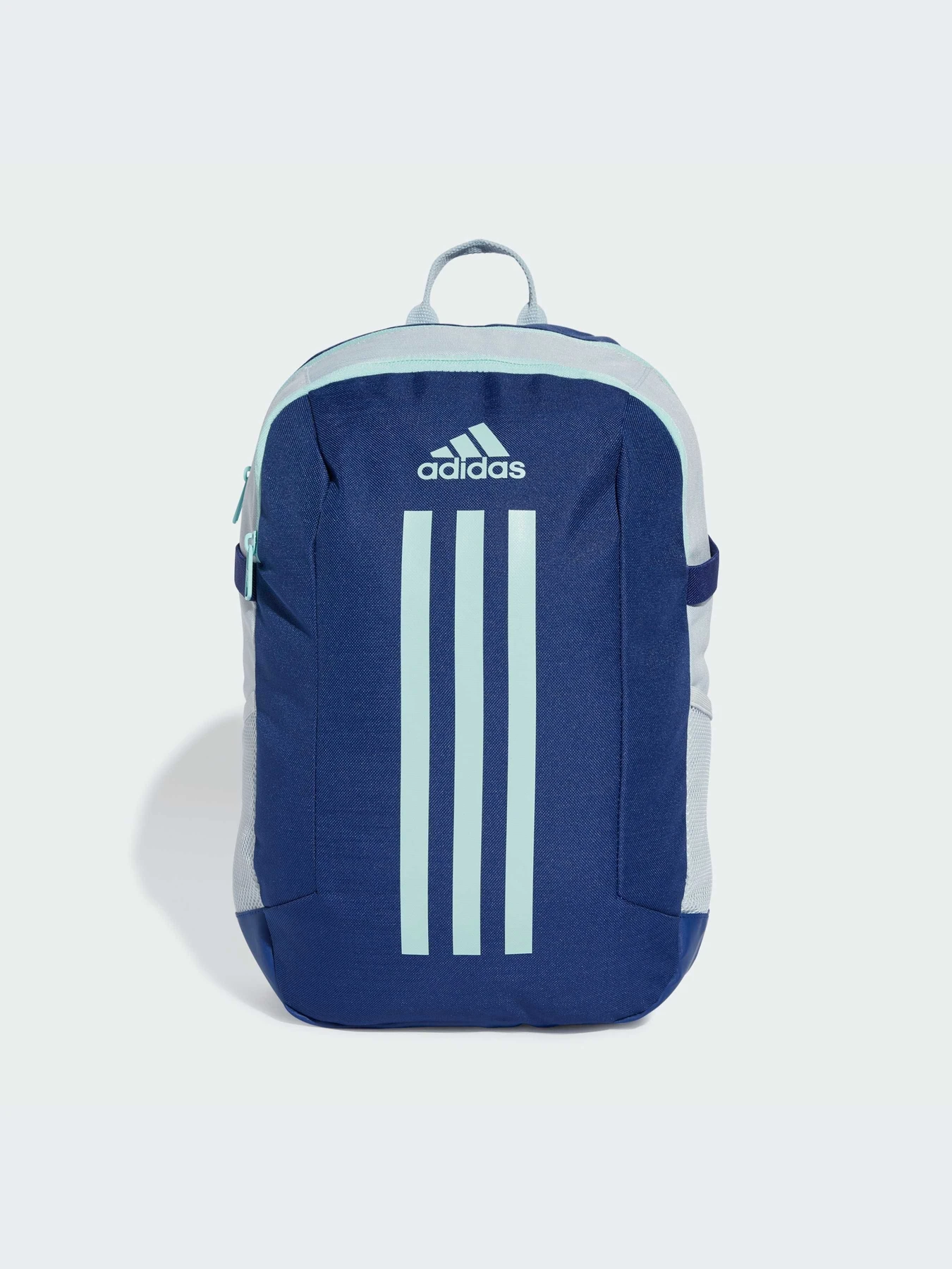 Рюкзаки Adidas модель IW1600 Фото