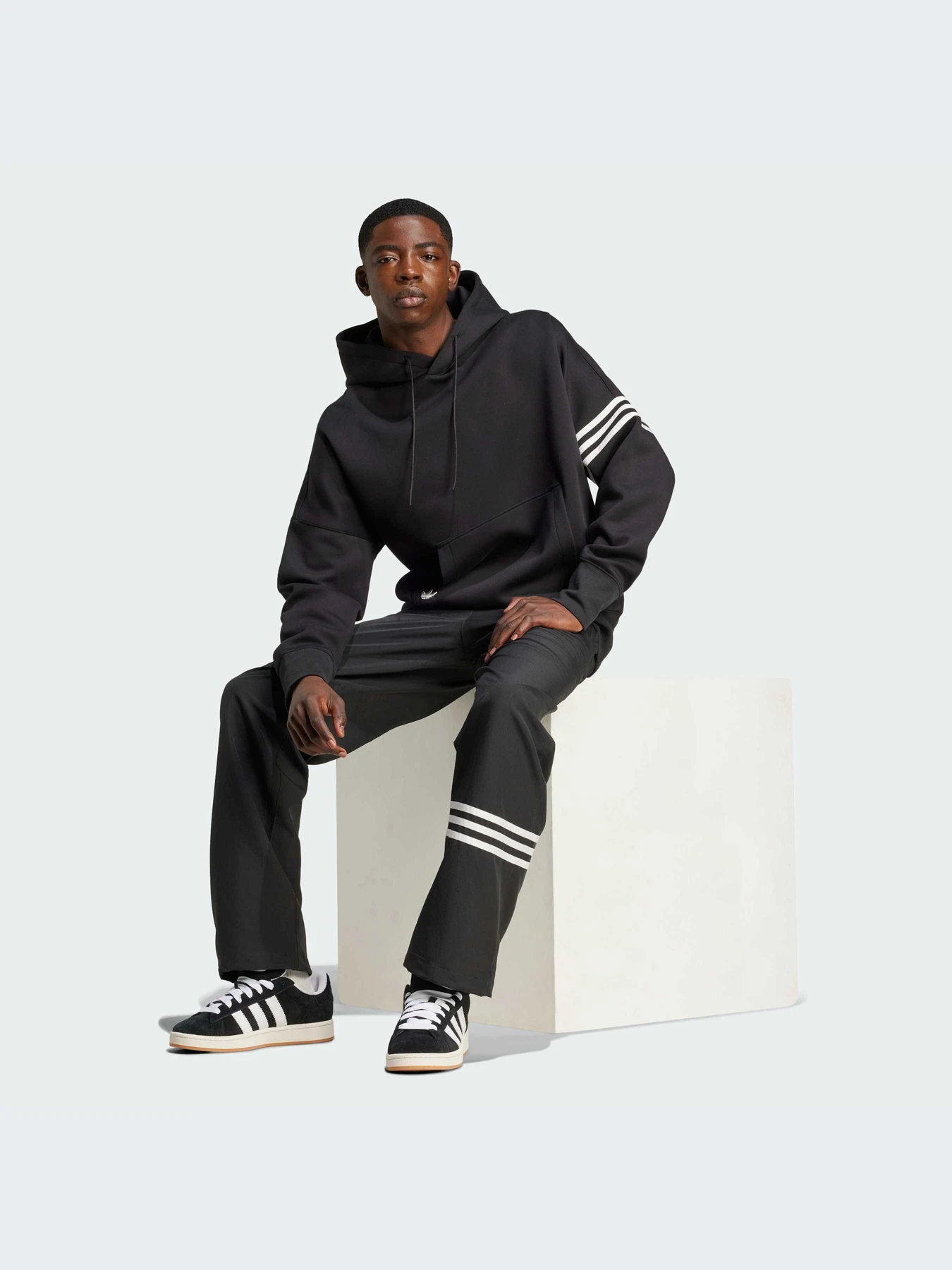 Худи и свитшоты Adidas Adicolor модель IW0975 Фото