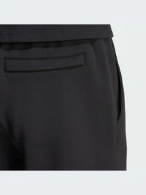 Штани Adidas Adicolor модель IW0973 Фото