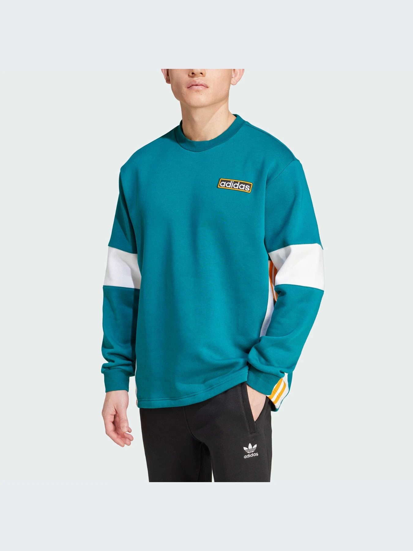 Худи и свитшоты Adidas Adicolor модель IW5813 Фото