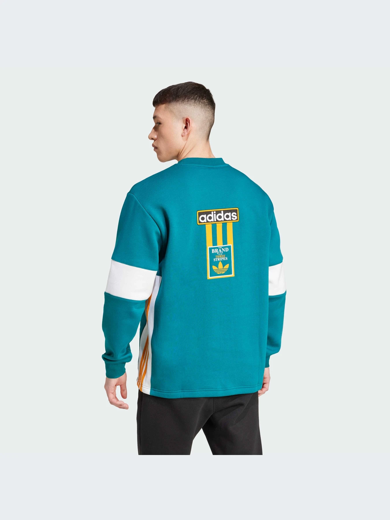Худи и свитшоты Adidas Adicolor модель IW5813 Фото