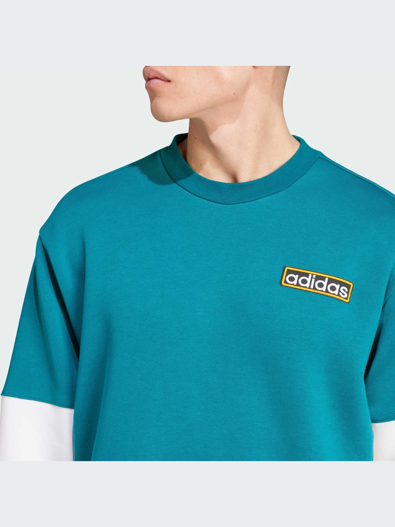 Худи и свитшоты Adidas Adicolor модель IW5813 Фото