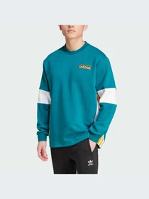 Худи и свитшоты Adidas Adicolor модель IW5813 Фото