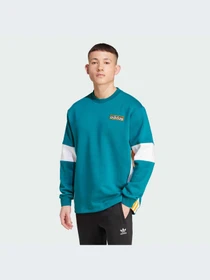 Худи и свитшоты Adidas Adicolor модель IW5813 Фото